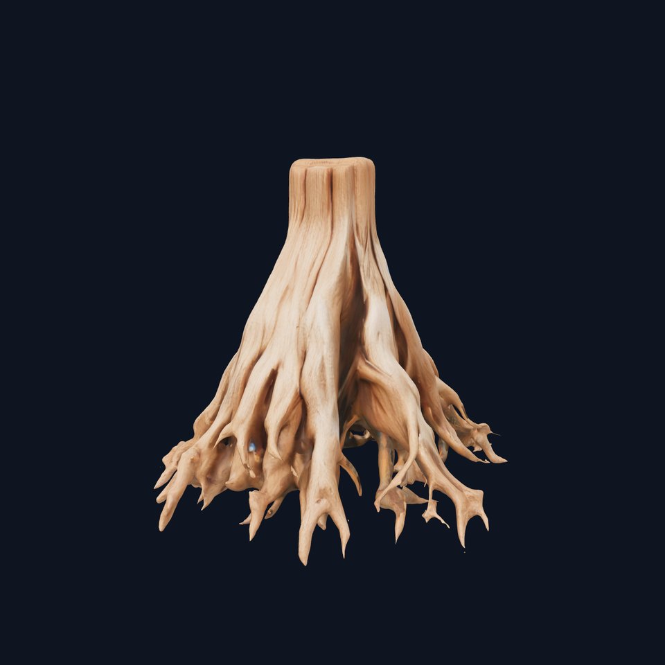 Tree Roots D Model Pack with Detailed Texture